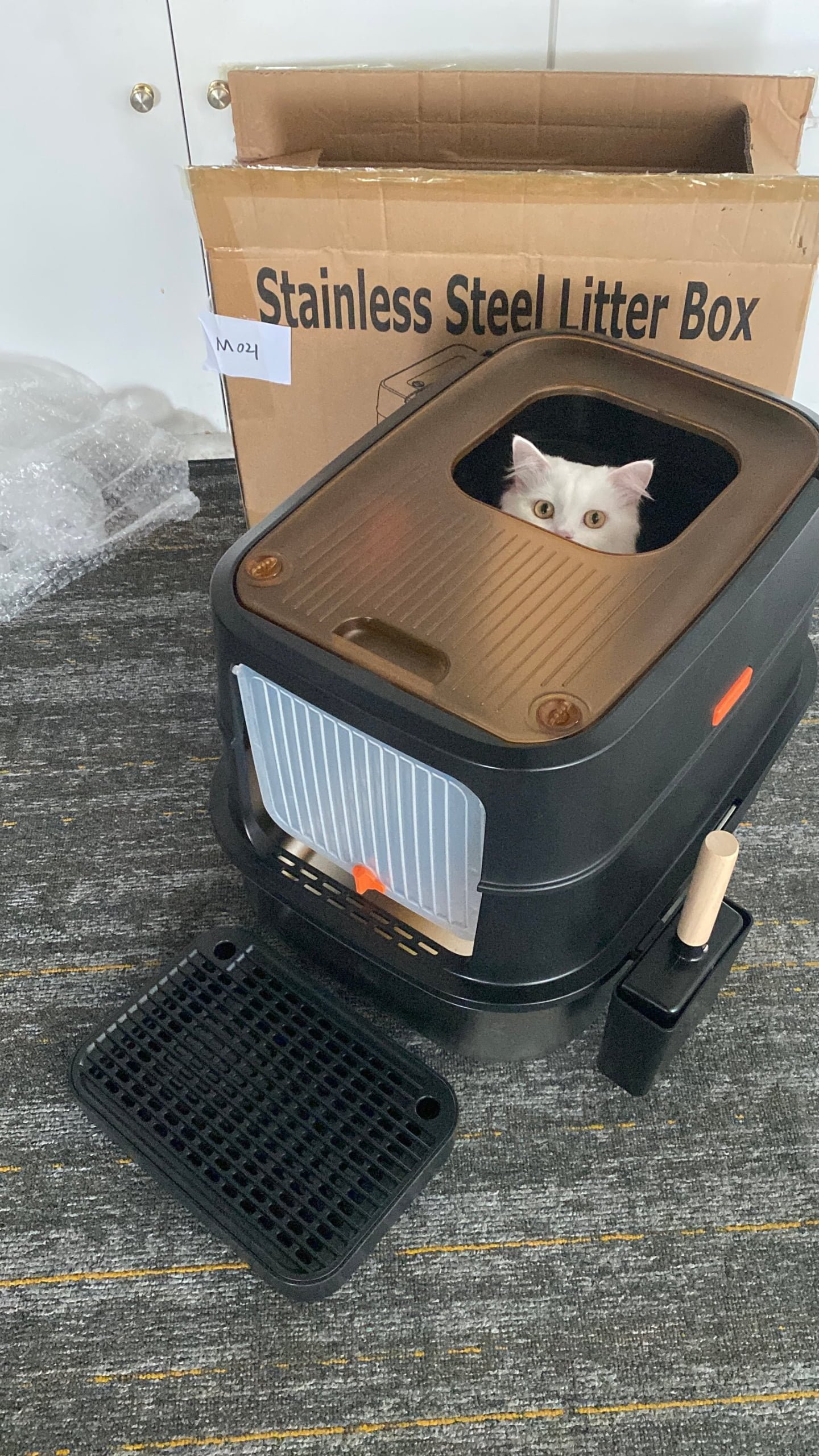 Cat resting beside a sleek stainless steel litter setup